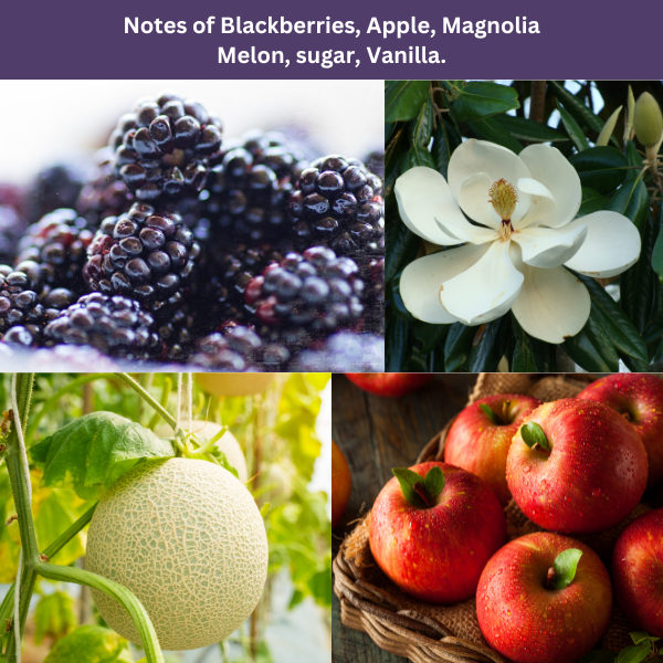 Blackberry Magnolia