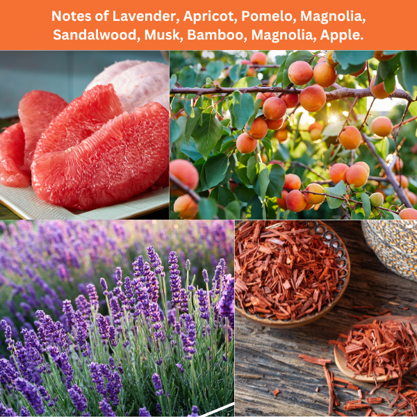 Lavender Apricot